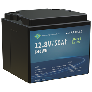Batterie au lithium LFP 12,8 V 50 Ah